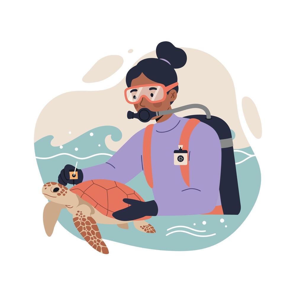 Diver tagging sea turtle with tracking device for marine research and conservation efforts in underwater environment vector