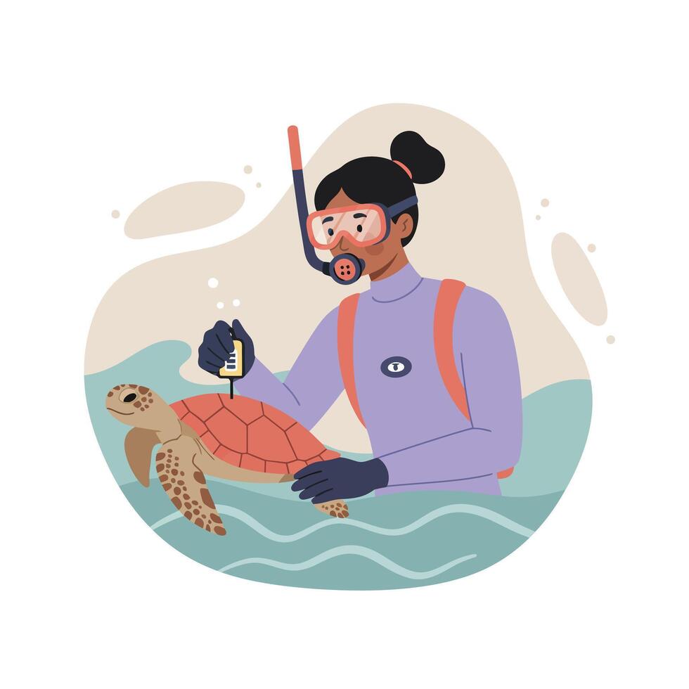 Marine biologist in snorkeling gear holding sea turtle testing water quality in ocean environment conservation effort vector