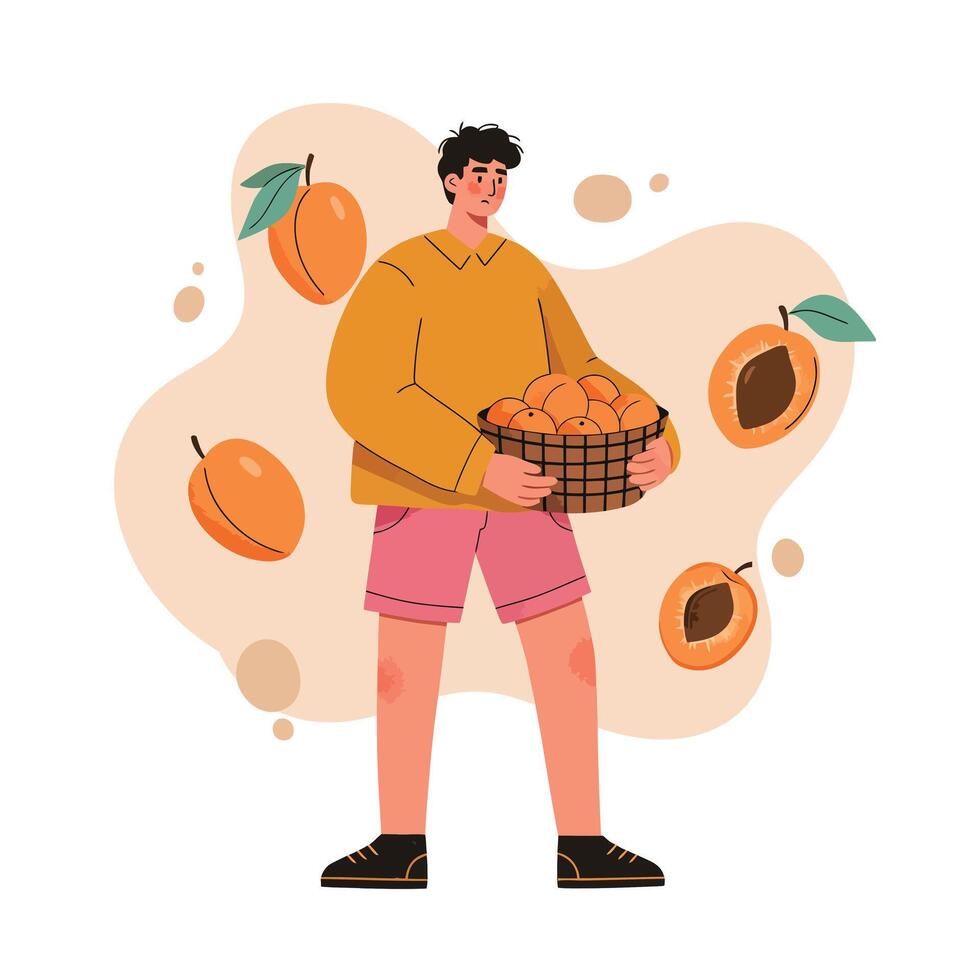 Young man holding basket filled with ripe apricots and surrounded by apricot fruits in warm tones natural illustration vector