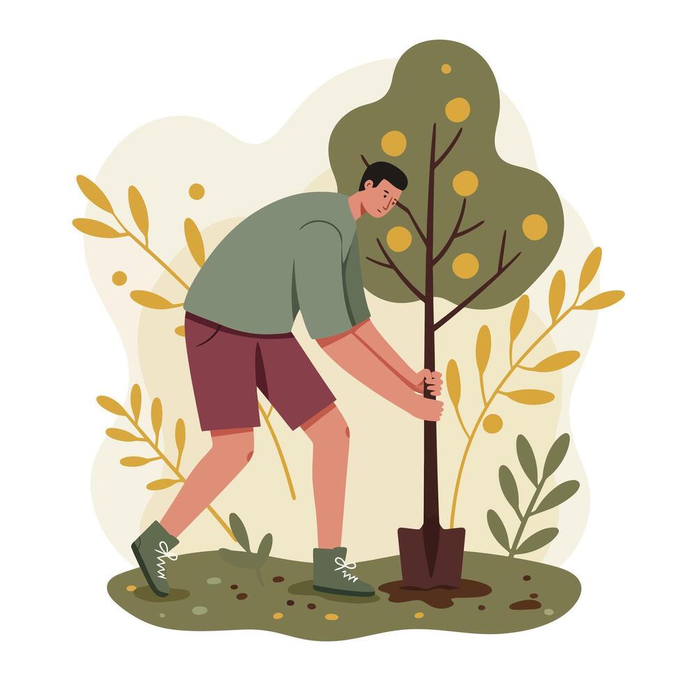 Man planting young fruit tree in garden surrounded by plants and leaves in autumn scene natural activity vector