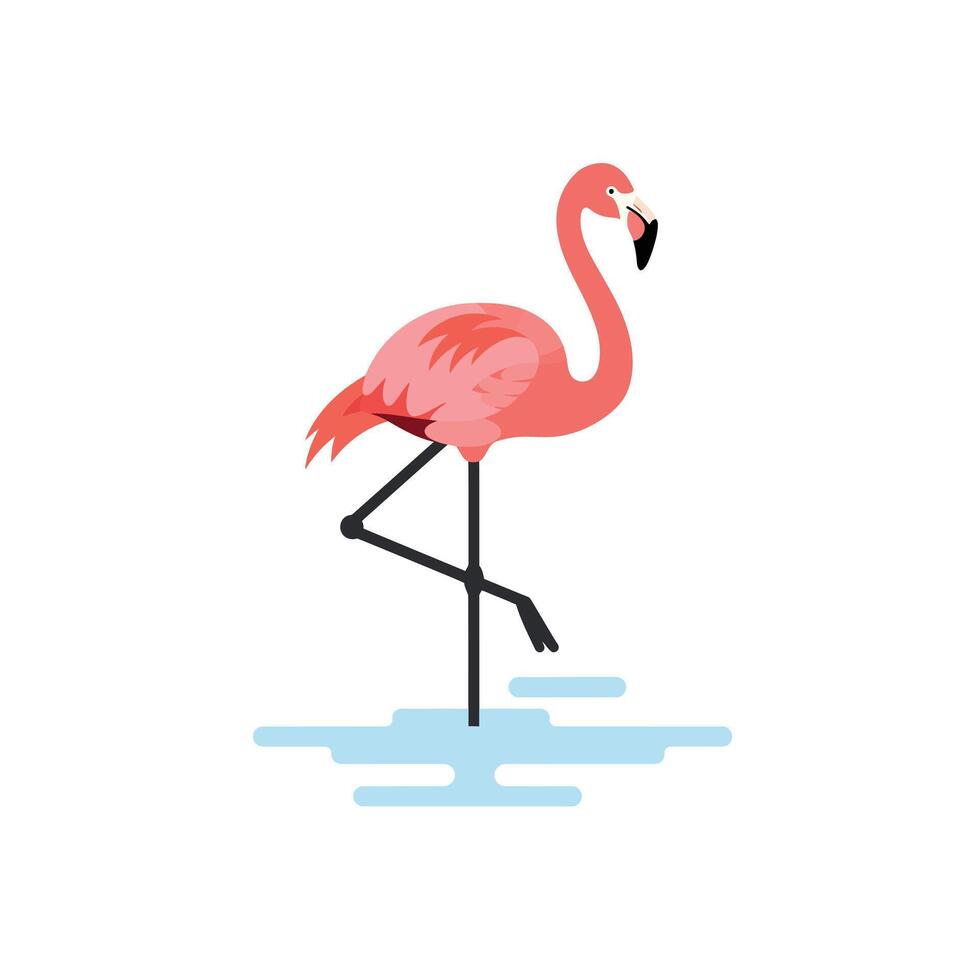 Flamingo standing on one leg in water with pink feathers natural bird animal illustration vector
