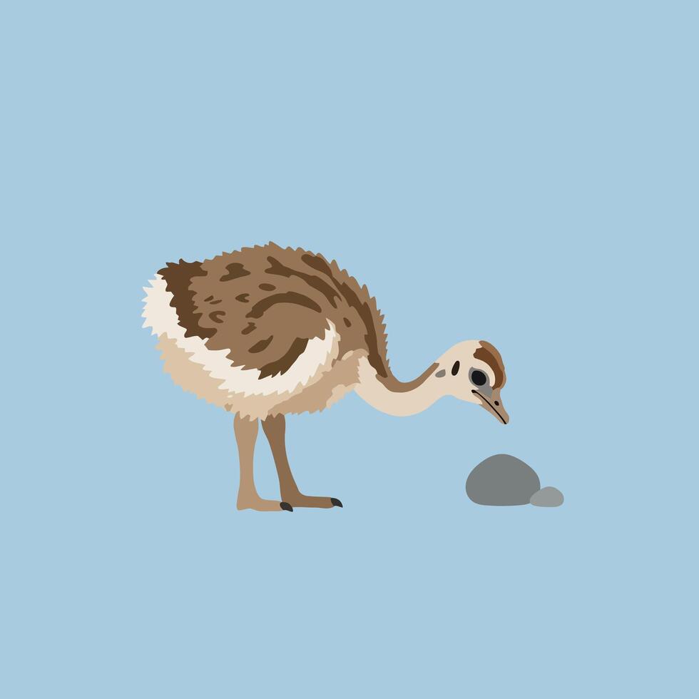 Young ostrich chick pecking near two small eggs on light blue background illustration vector