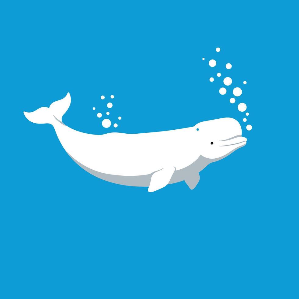 White whale swimming underwater with bubbles on blue background marine animal illustration vector