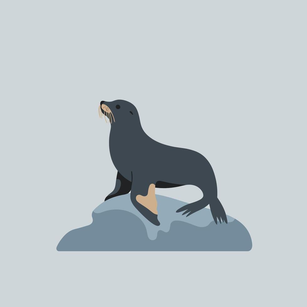 Sea lion resting on rock illustration with muted blue and gray tones in minimalist style vector