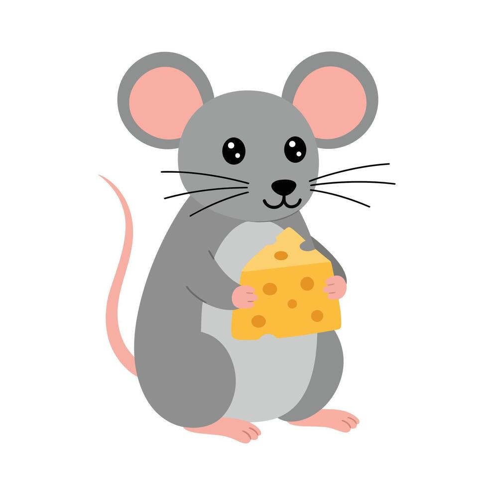 Cute gray mouse holding a piece of yellow cheese illustration in simple flat style vector