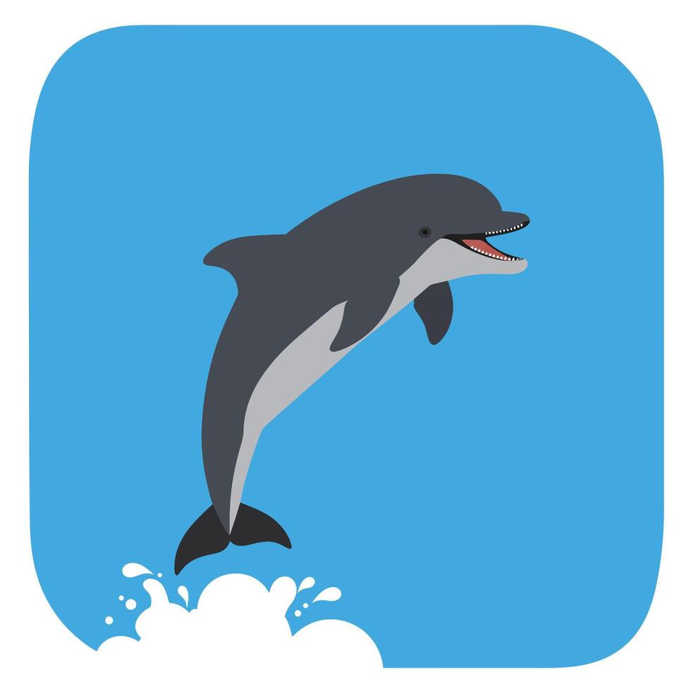 Dolphin jumping out of water with blue background illustration for ocean wildlife design vector