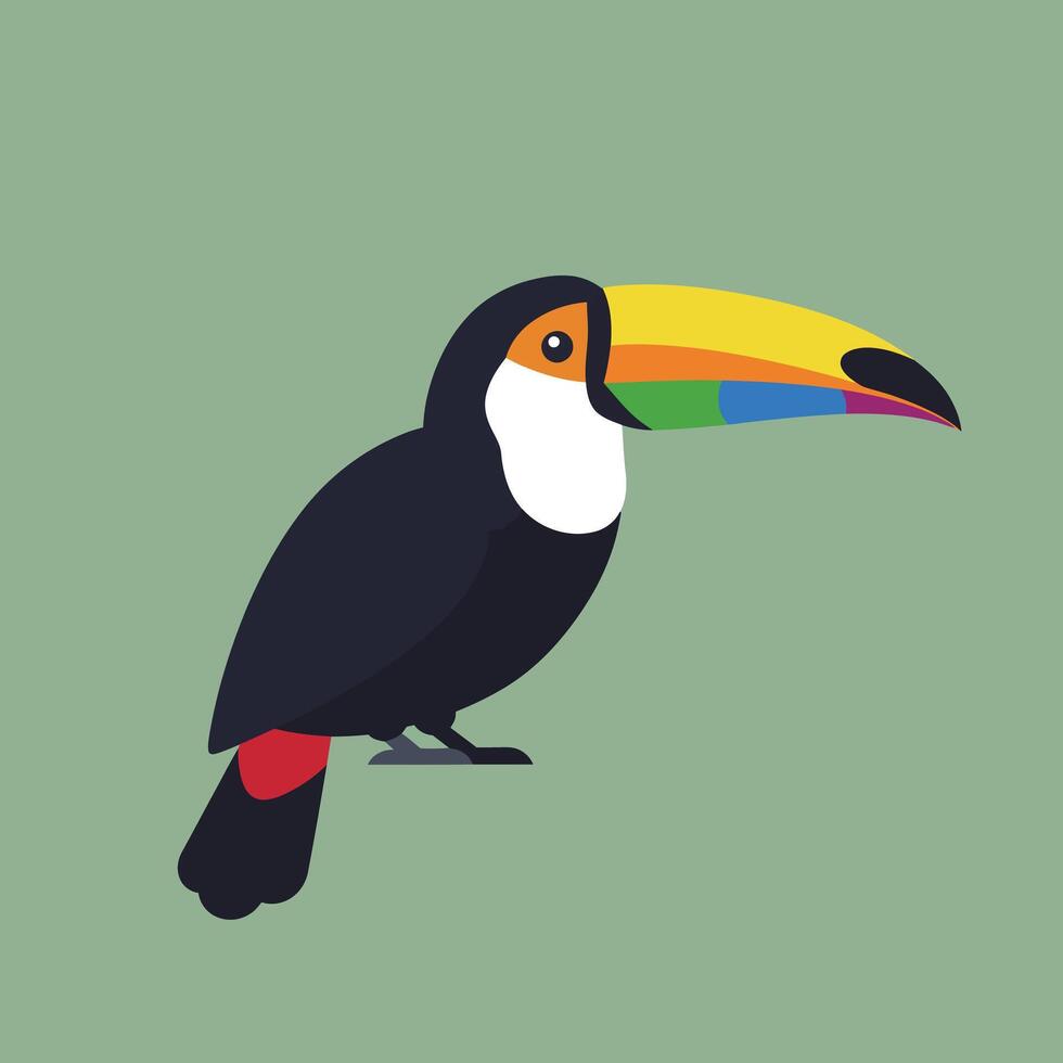 Toucan bird with colorful beak illustration on green background in flat design style vector