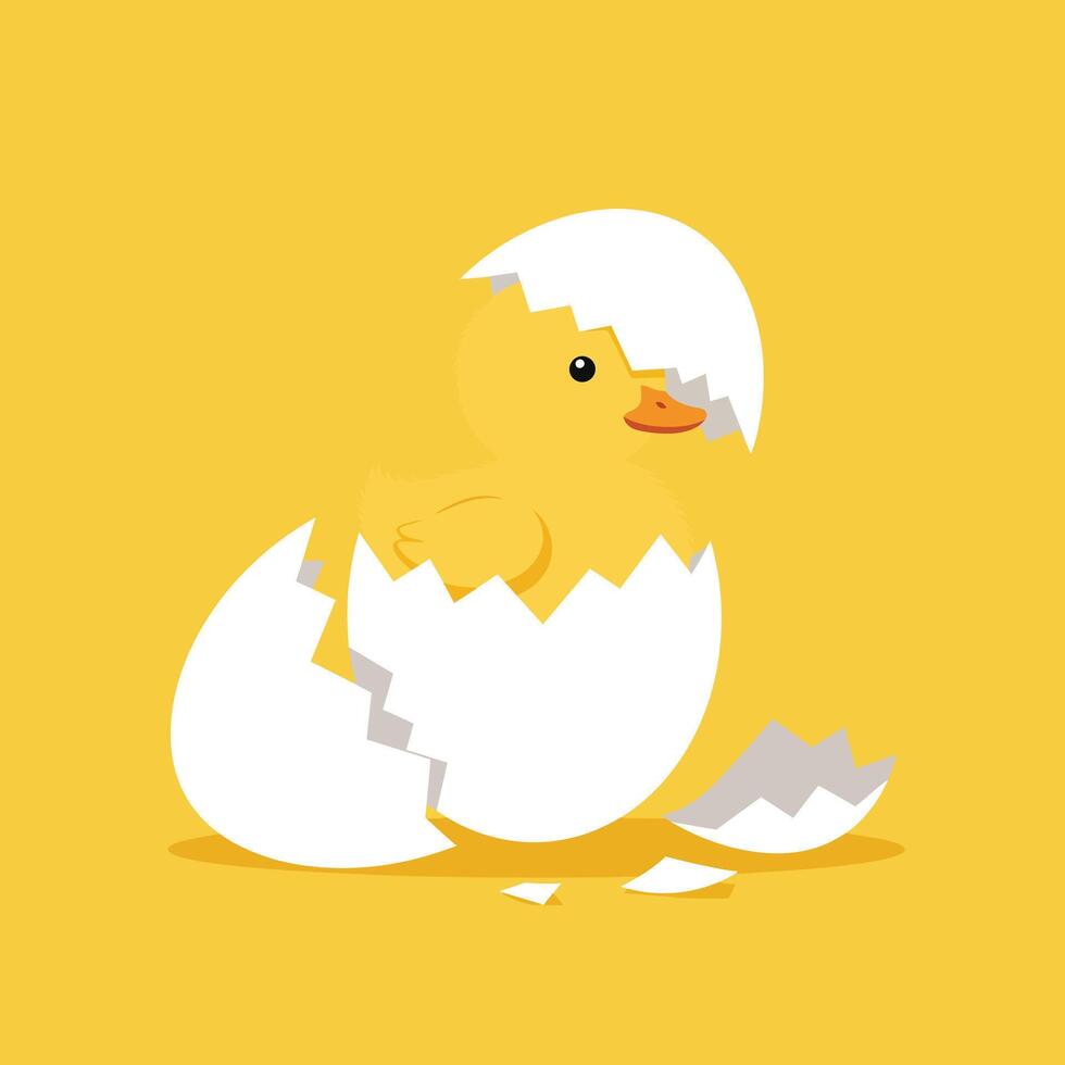 Cute yellow baby chick hatching from white eggshell on yellow background illustration vector