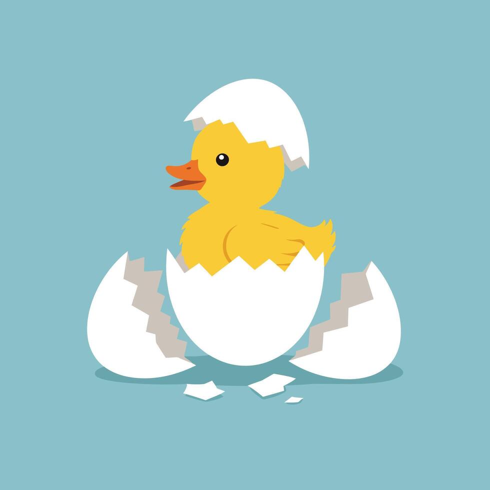 Cute yellow duckling hatching from white eggshell illustration on blue background vector