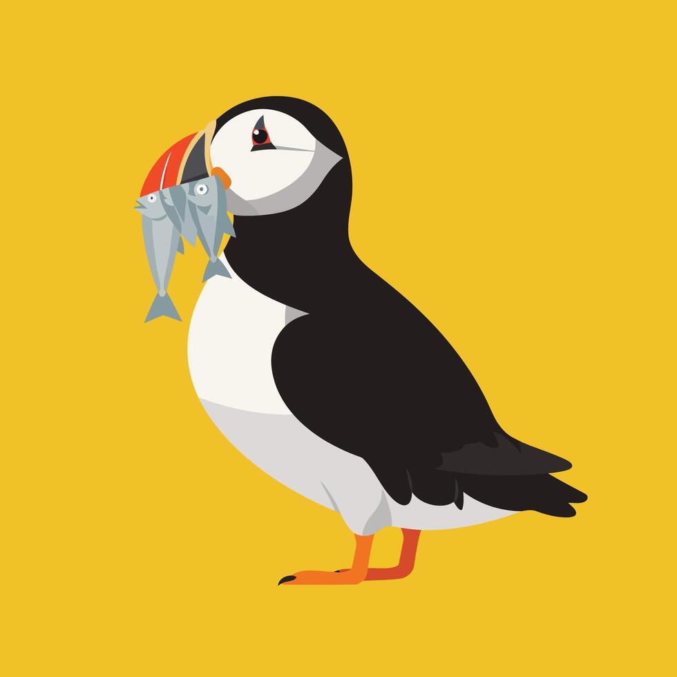 Puffin bird holding fish in beak on yellow background illustration with flat design style vector