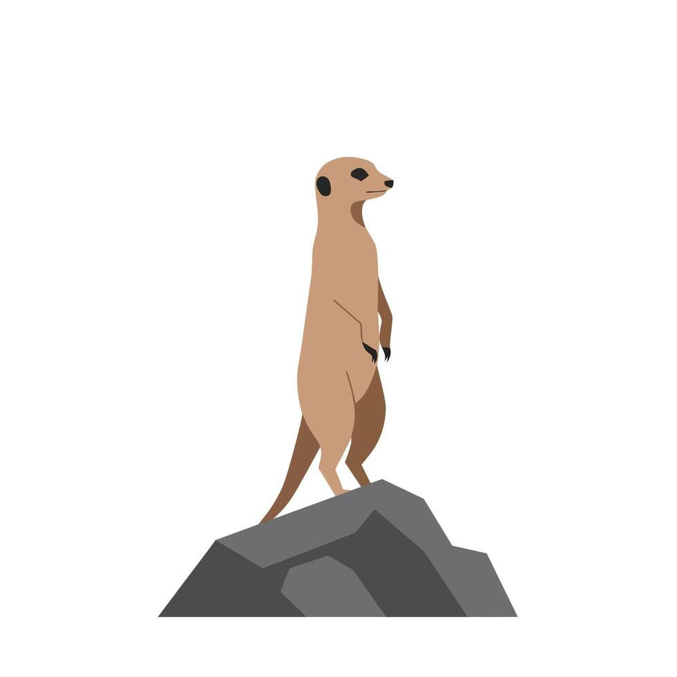 Meerkat standing alert on gray rock illustration natural posture wildlife animal vector