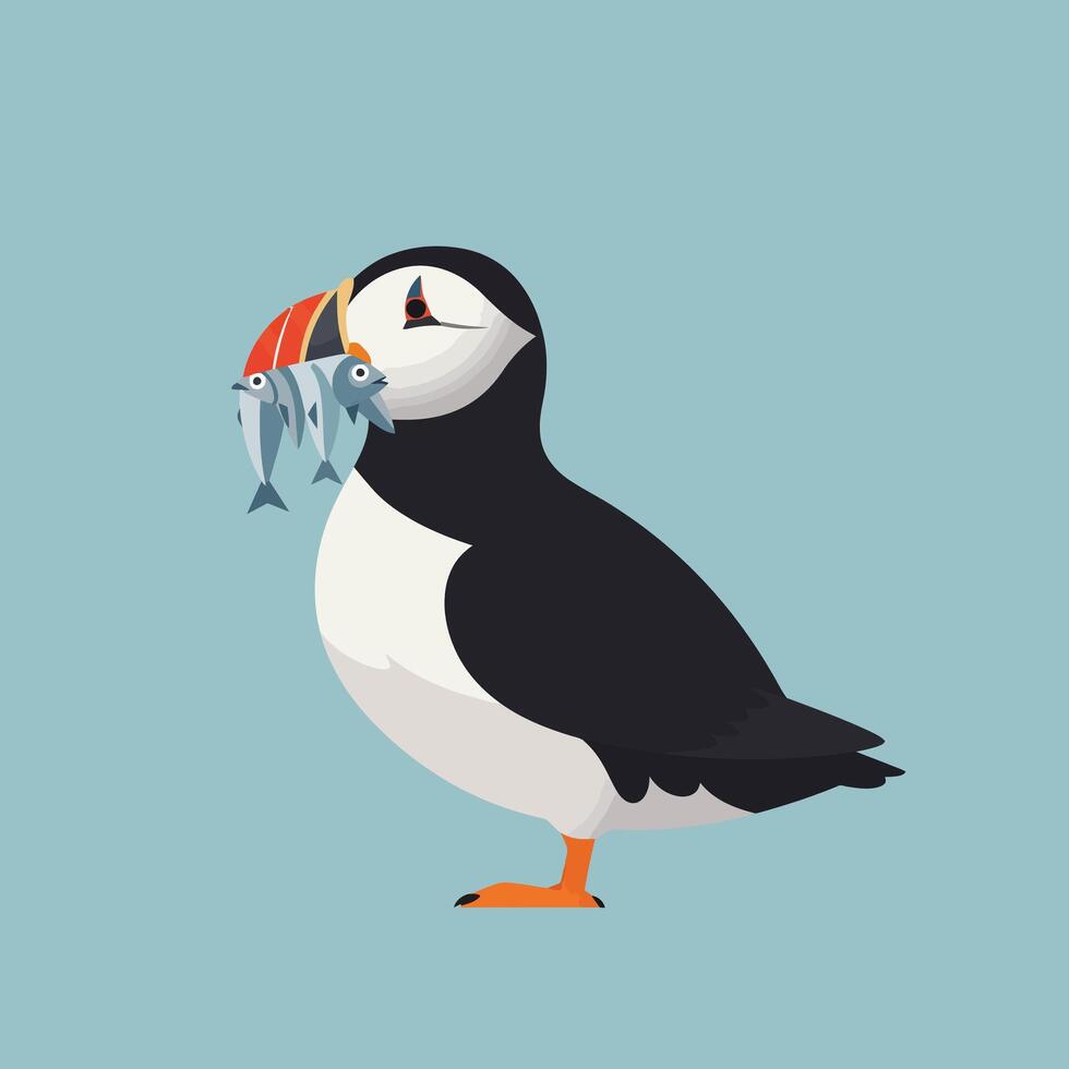 Puffin bird holding three fish in beak standing on blue background illustration vector