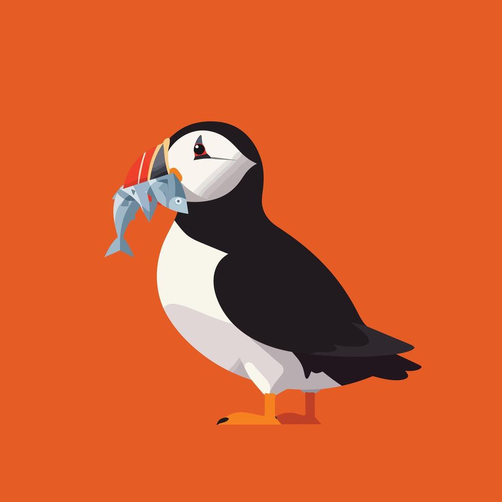 Puffin bird holding blue fish in beak on orange background illustration in flat style vector