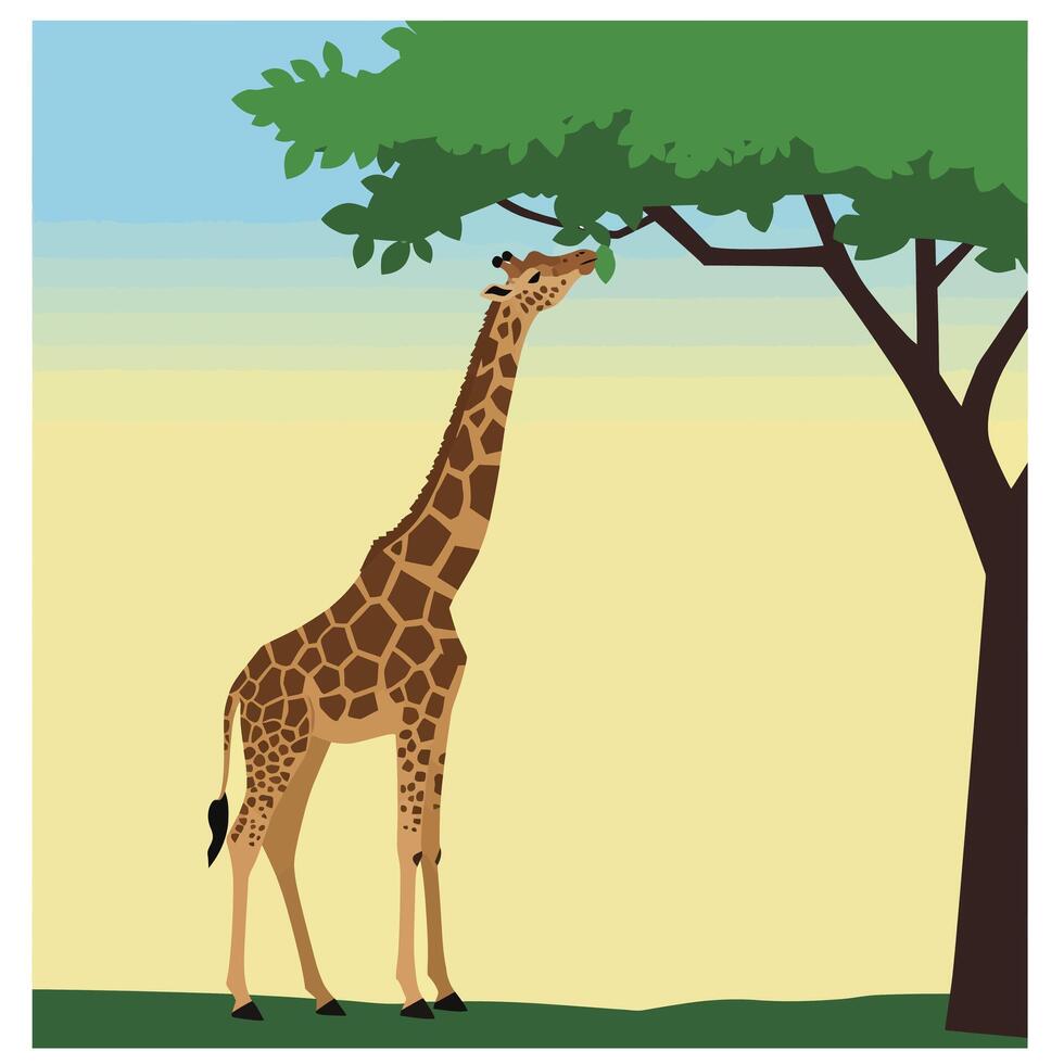 Giraffe feeding from tree in natural savannah landscape with clear sky illustration vector