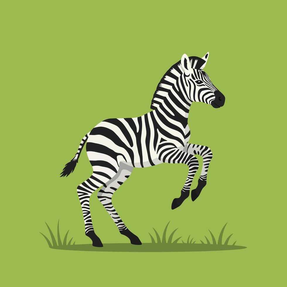 Zebra rearing up on green background with grass illustration in flat style vector