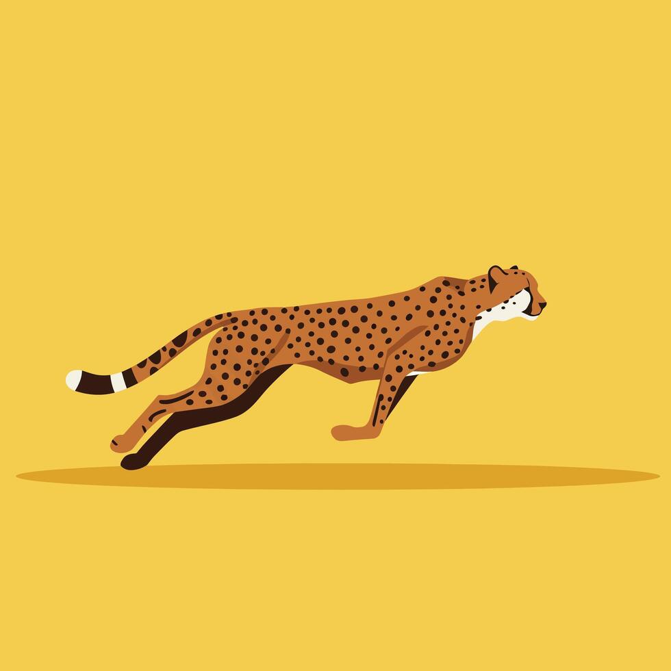 Cheetah running fast in motion with yellow background illustration for wildlife and nature themes vector