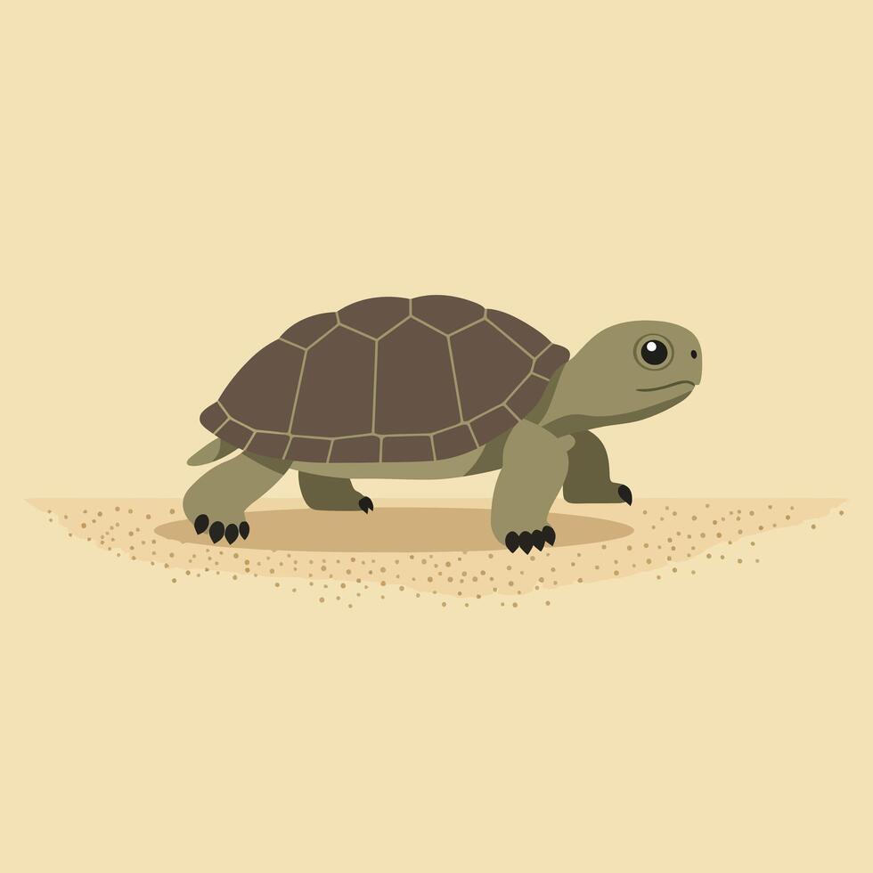 Turtle walking on sandy ground with brown shell and green limbs illustration vector