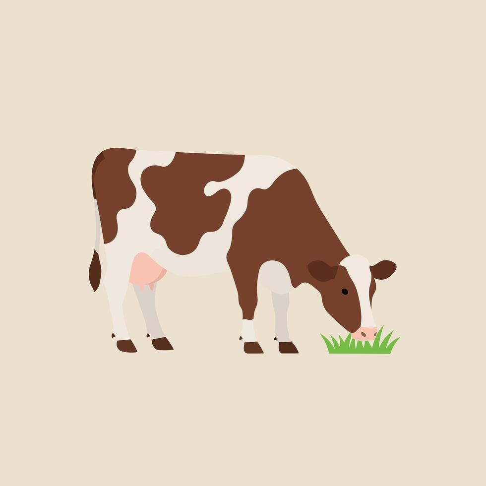 Brown and white dairy cow grazing on green grass simple illustration in beige background vector