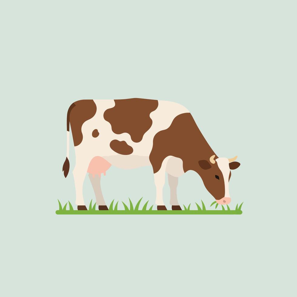 Brown and white cow grazing on green grass simple illustration in square layout vector