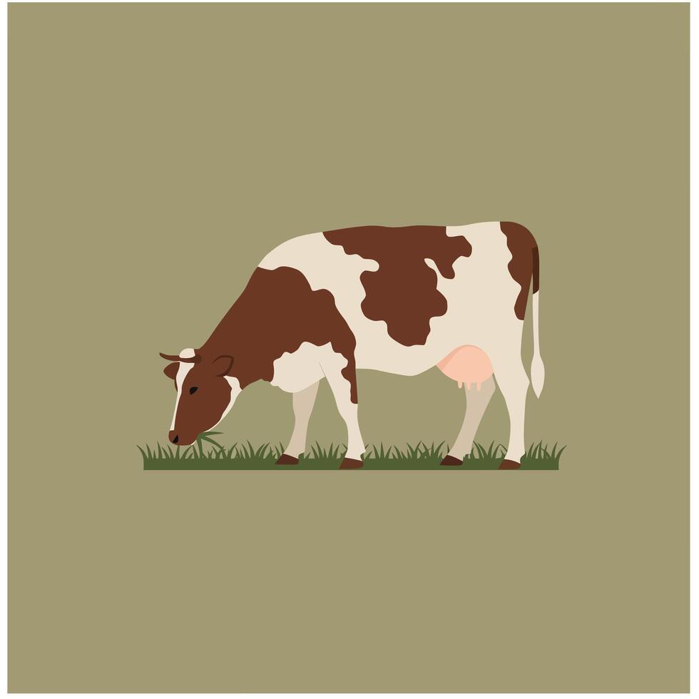 Brown and white cow grazing on grass farm animal illustration in landscape orientation with muted background vector