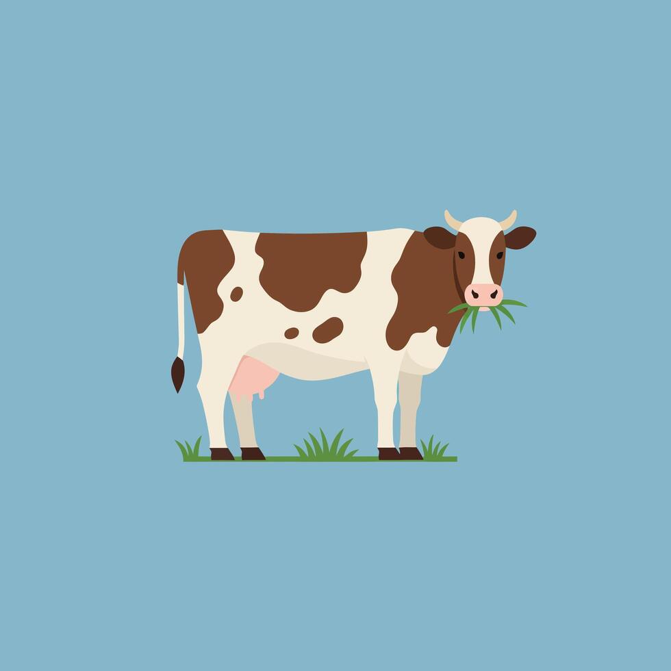 Brown and white cow grazing on grass simple flat illustration with blue background vector