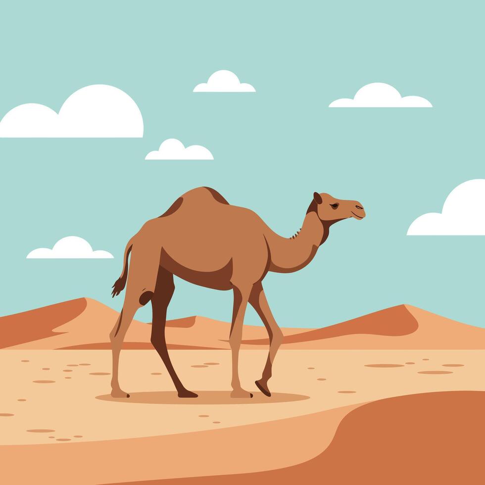 Camel walking in desert landscape with sandy dunes and blue sky illustration vector