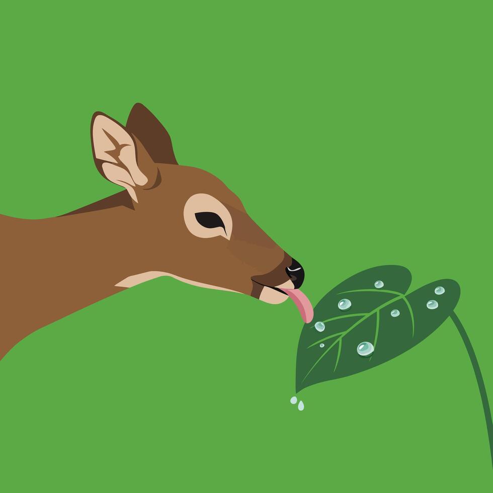 Deer licking water droplets from green leaf in simple nature illustration with green background vector