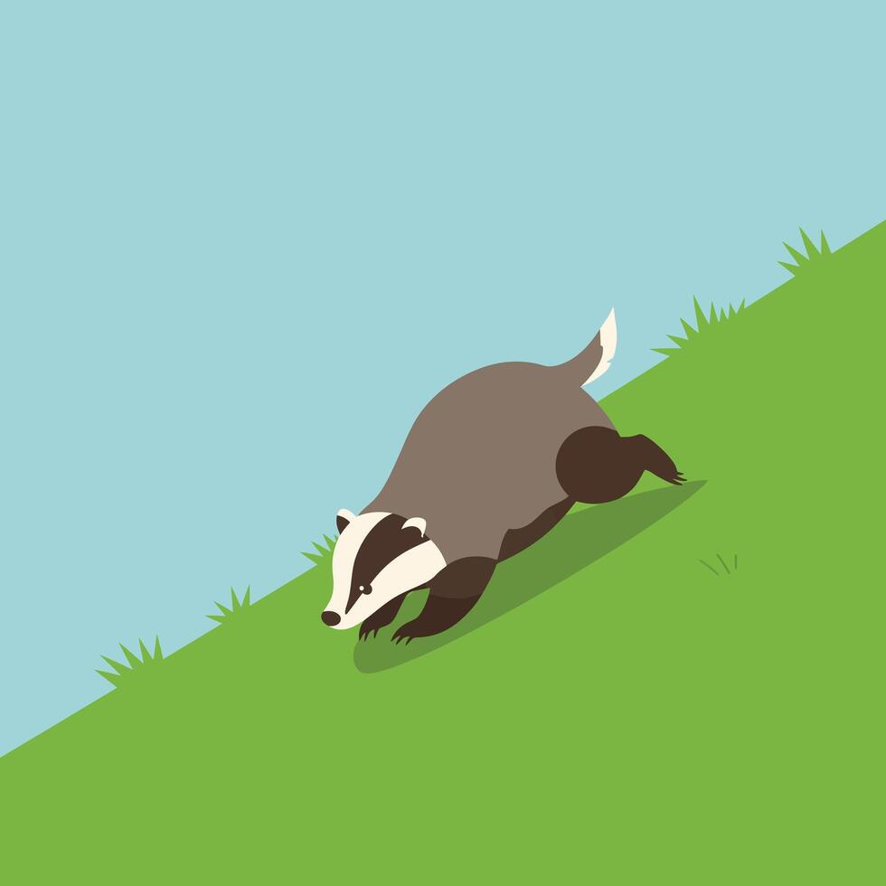 Badger climbing steep grassy hill under clear blue sky in simple style vector