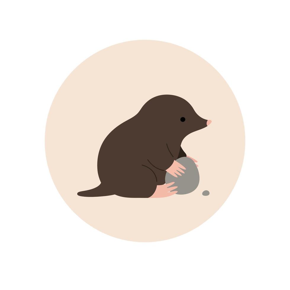 Mole animal holding a gray stone in simple flat design with beige background illustration vector