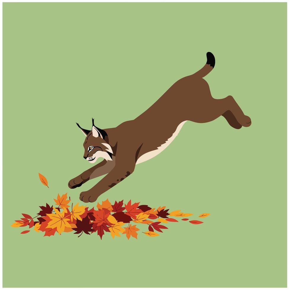 Bobcat jumping through colorful autumn leaves on green background in nature wildlife scene vector