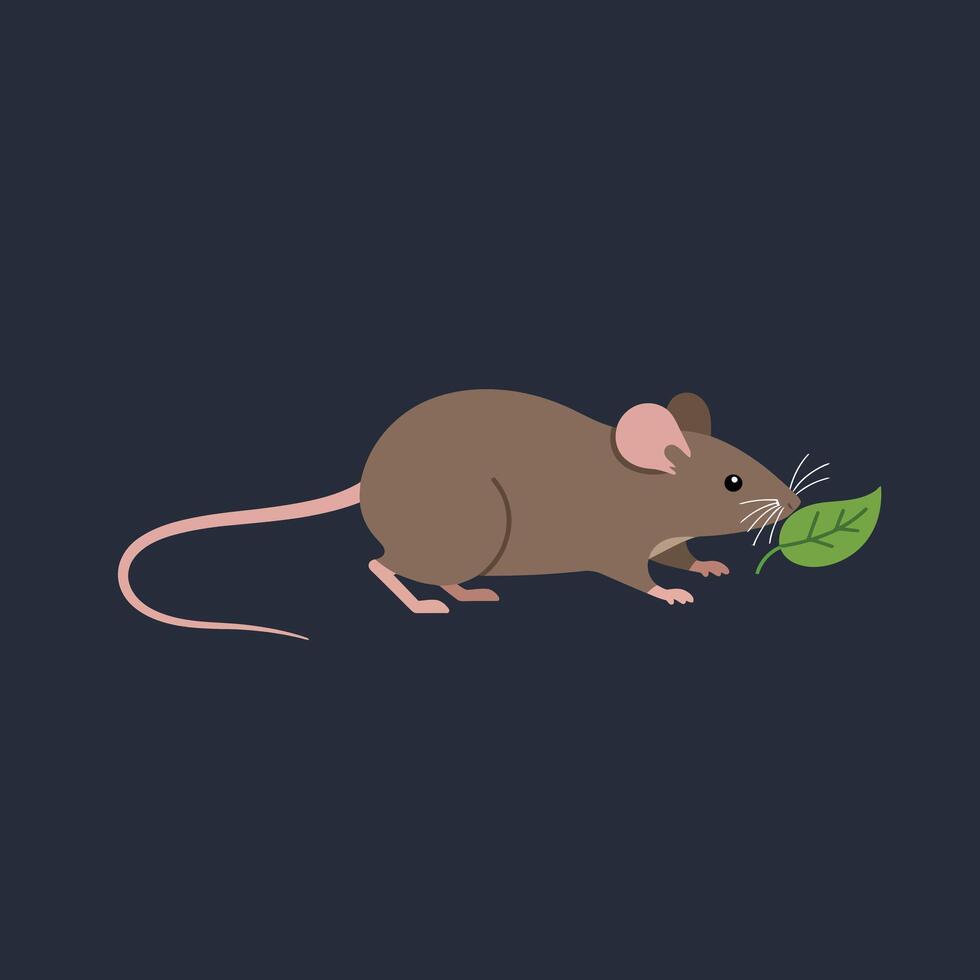 Brown mouse holding green leaf on dark background minimalistic illustration design vector
