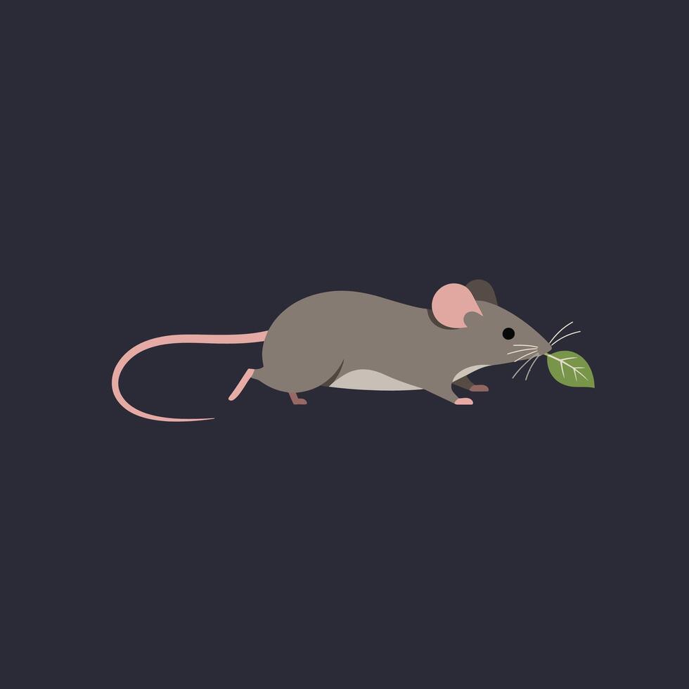 Small brown mouse carrying green leaf on dark background simple illustration vector