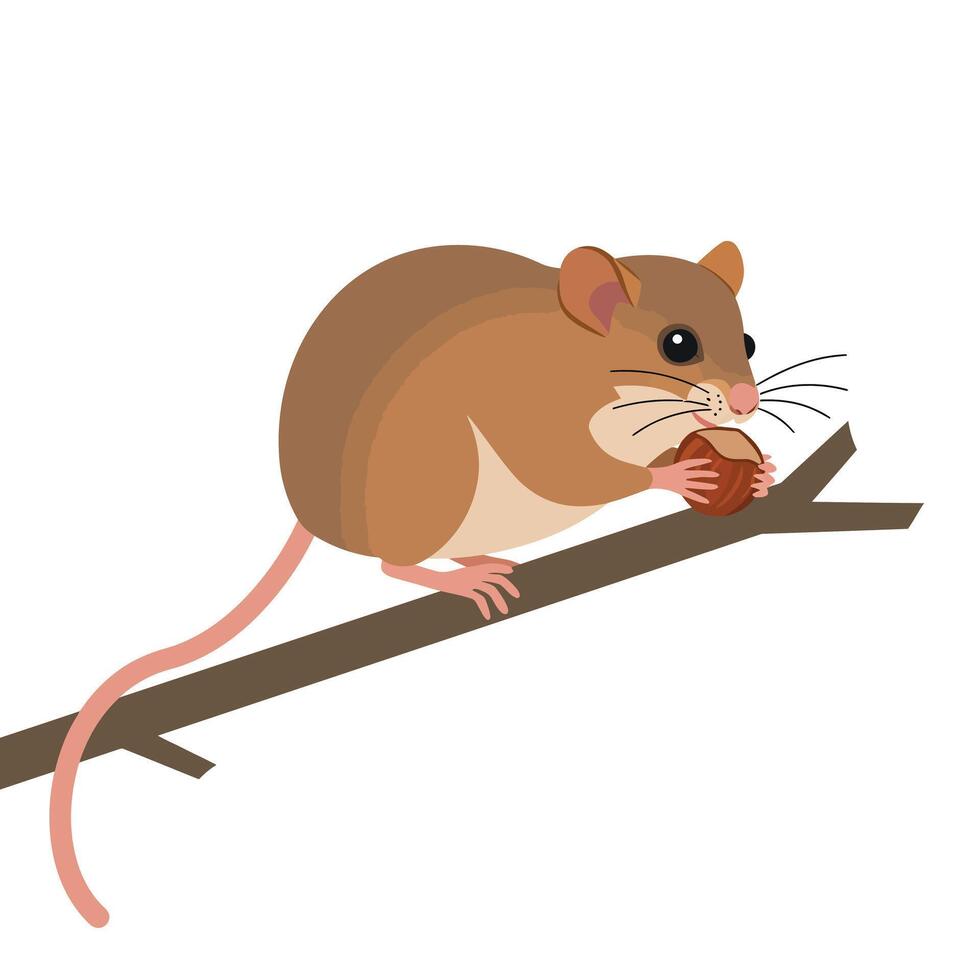 Brown mouse holding nut sitting on a tree branch natural wildlife illustration digital art vector
