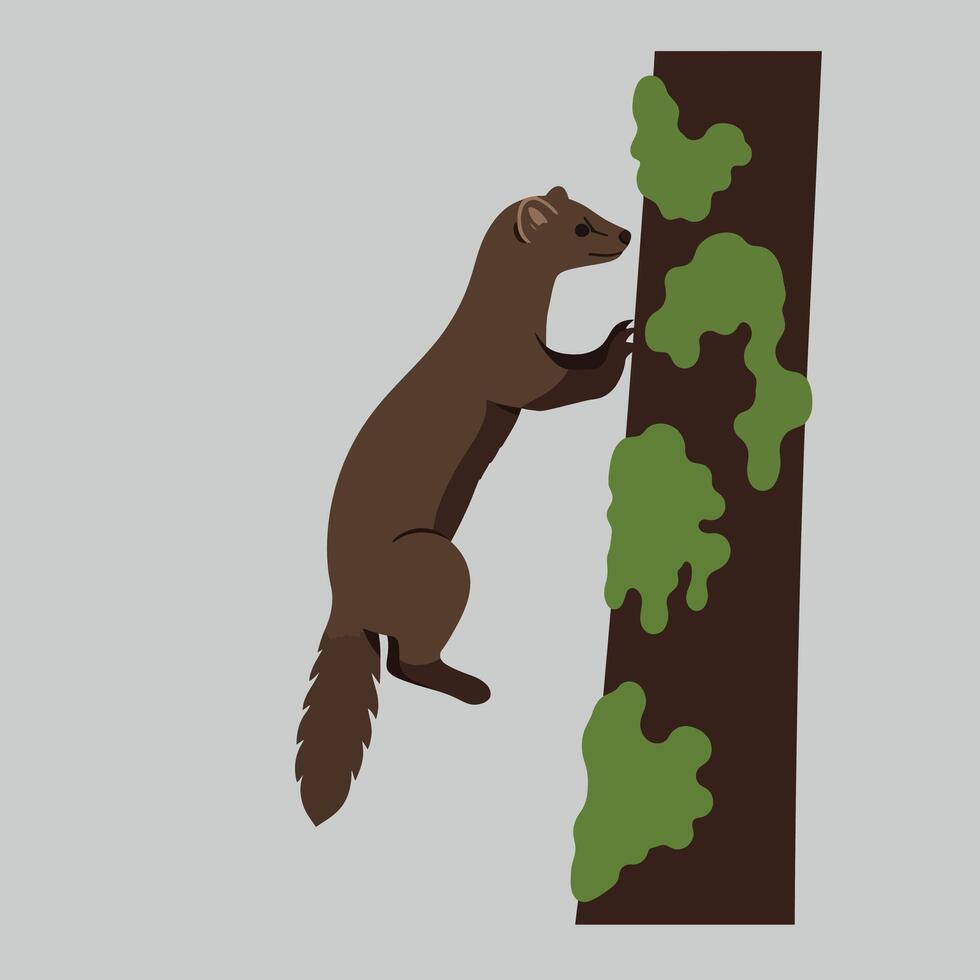 Brown marten climbing mossy tree trunk in natural habitat simple illustration vector