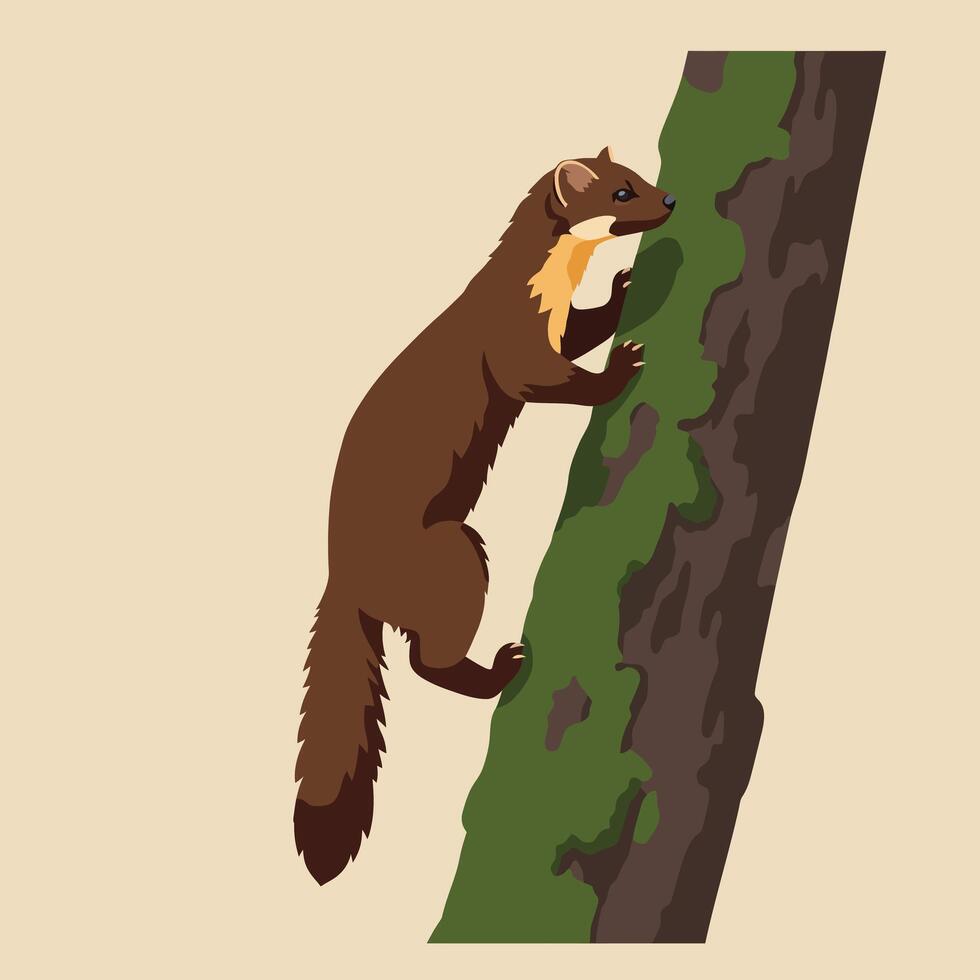Pine marten climbing tree trunk with green moss in natural environment illustration vector
