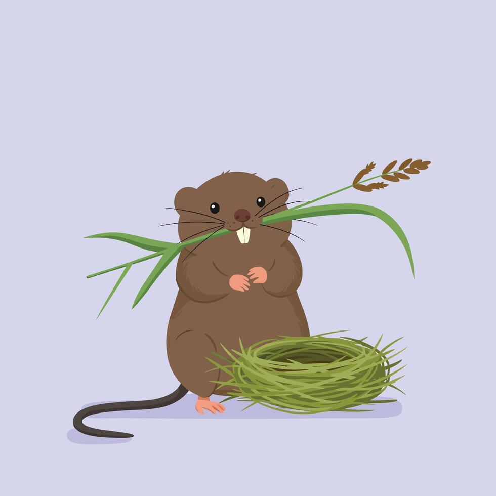 Brown cartoon mouse holding green grass and standing next to a grass nest with a light purple background digital illustration vector