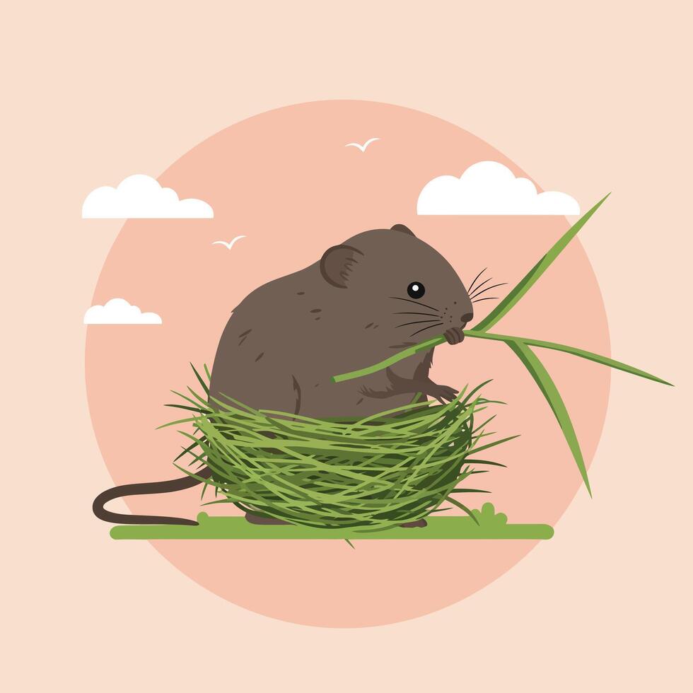 Brown mouse sitting in green grass nest eating a blade of grass with clouds and birds background square format vector