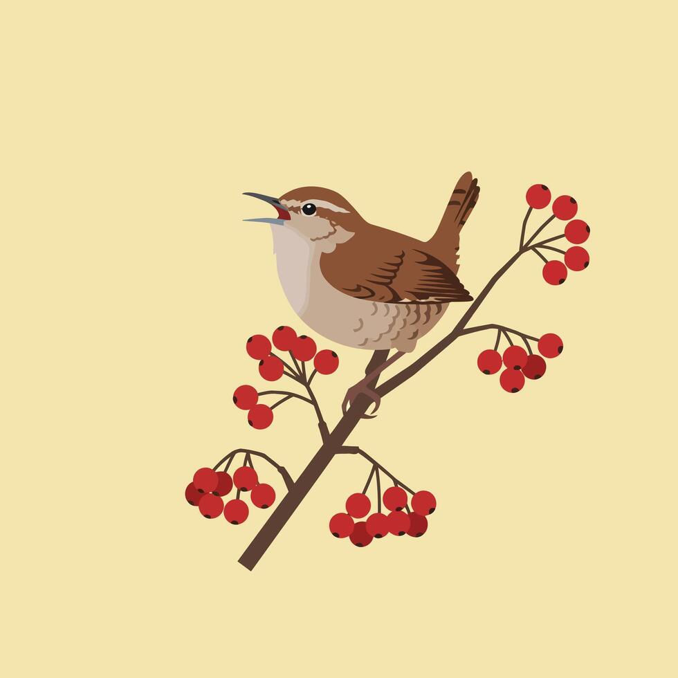 Brown wren bird perched singing on red berry branch in simple beige background illustration vector