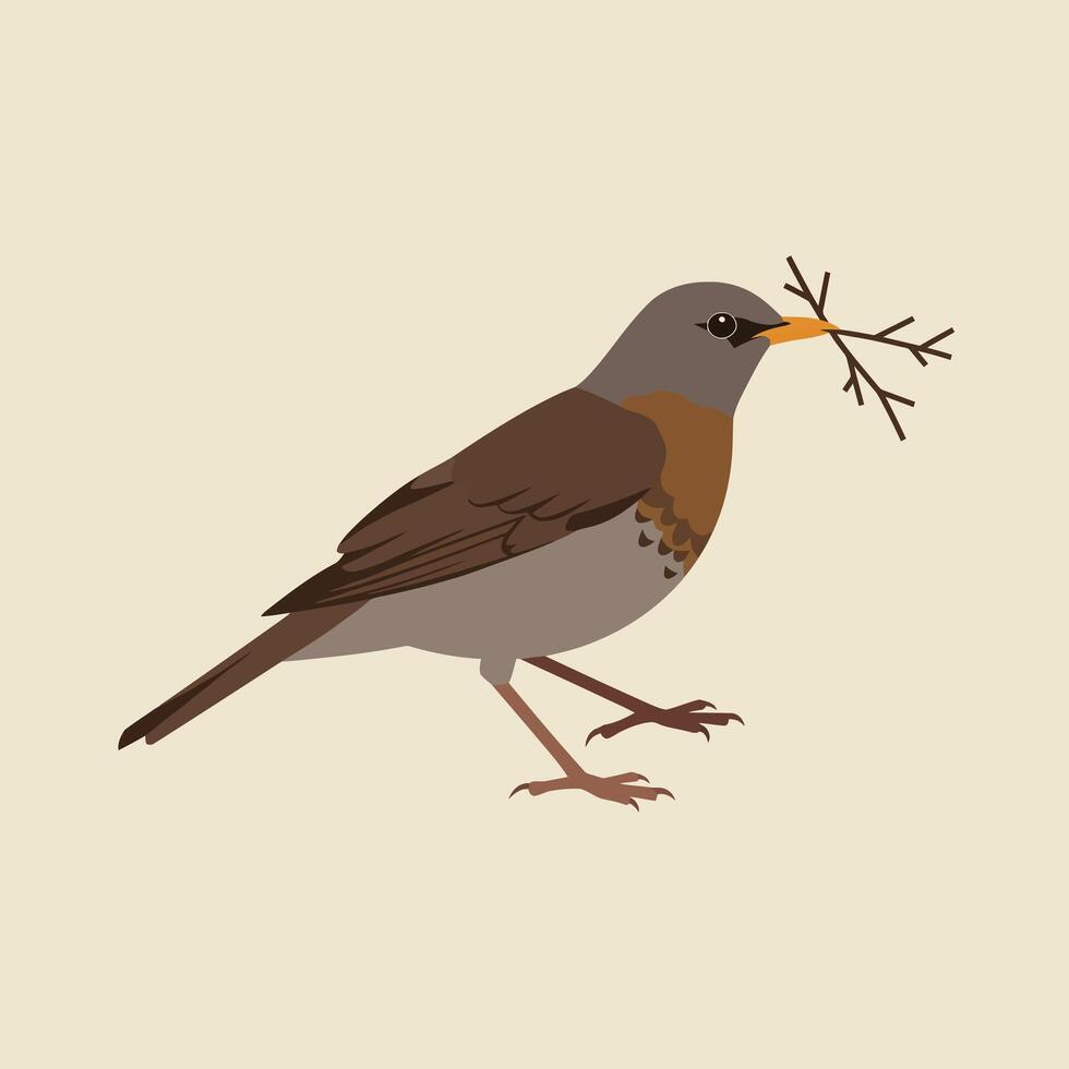 Brown and gray bird holding twig in beak simple flat illustration on beige background nature wildlife scene vector