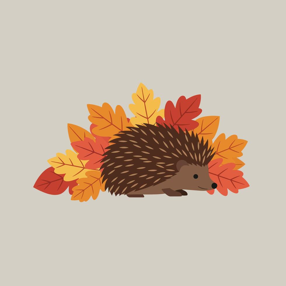 Hedgehog with autumn leaves in orange yellow and red colors simple flat design nature illustration vector