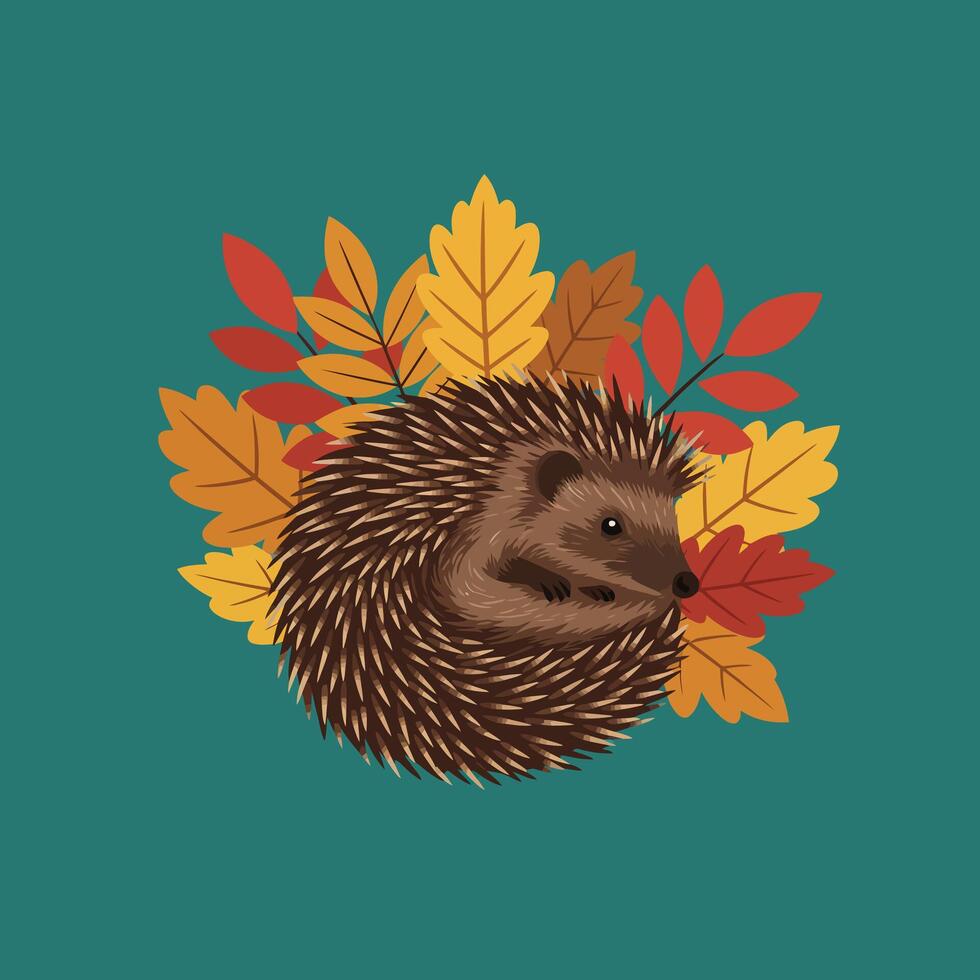 Hedgehog curled up surrounded by autumn leaves in orange yellow and red natural illustration on teal background vector