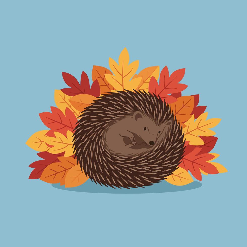 Hedgehog curled up sleeping surrounded by autumn leaves on blue background in cozy illustration style vector
