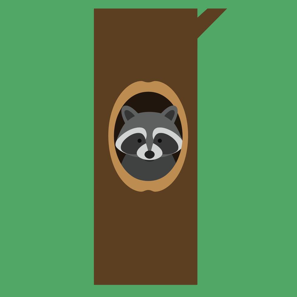 Raccoon peeking from tree hollow in green forest background digital illustration with simple shapes and colors vector