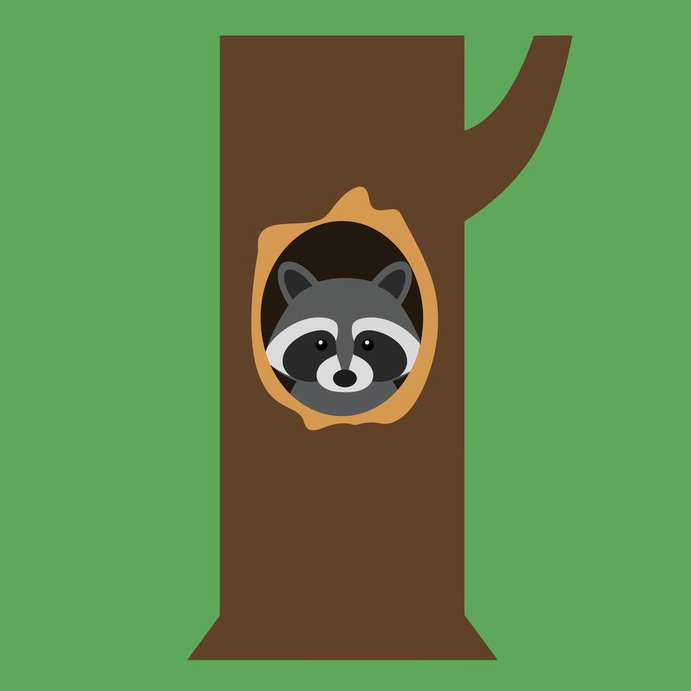 Raccoon peeking from tree hollow in green forest background simple flat design cartoon style vector