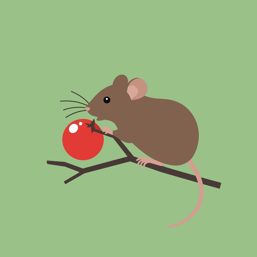 Brown mouse sitting on twig holding red berry with green background in simple flat style illustration vector