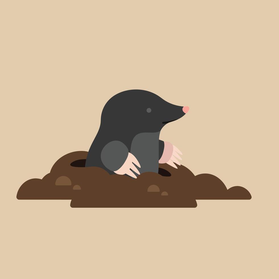 Mole emerging from soil with pink nose and claws on beige background in cute cartoon style vector