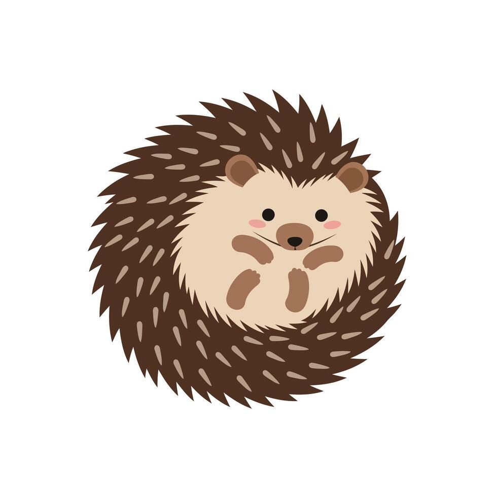 Hedgehog curled up in a cozy round shape with brown and beige colours illustration vector