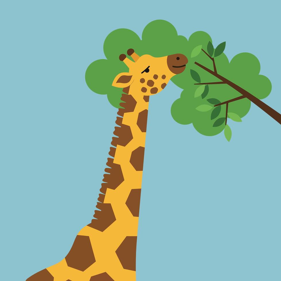 Giraffe eating leaves from tree branch in flat style on blue background illustration vector