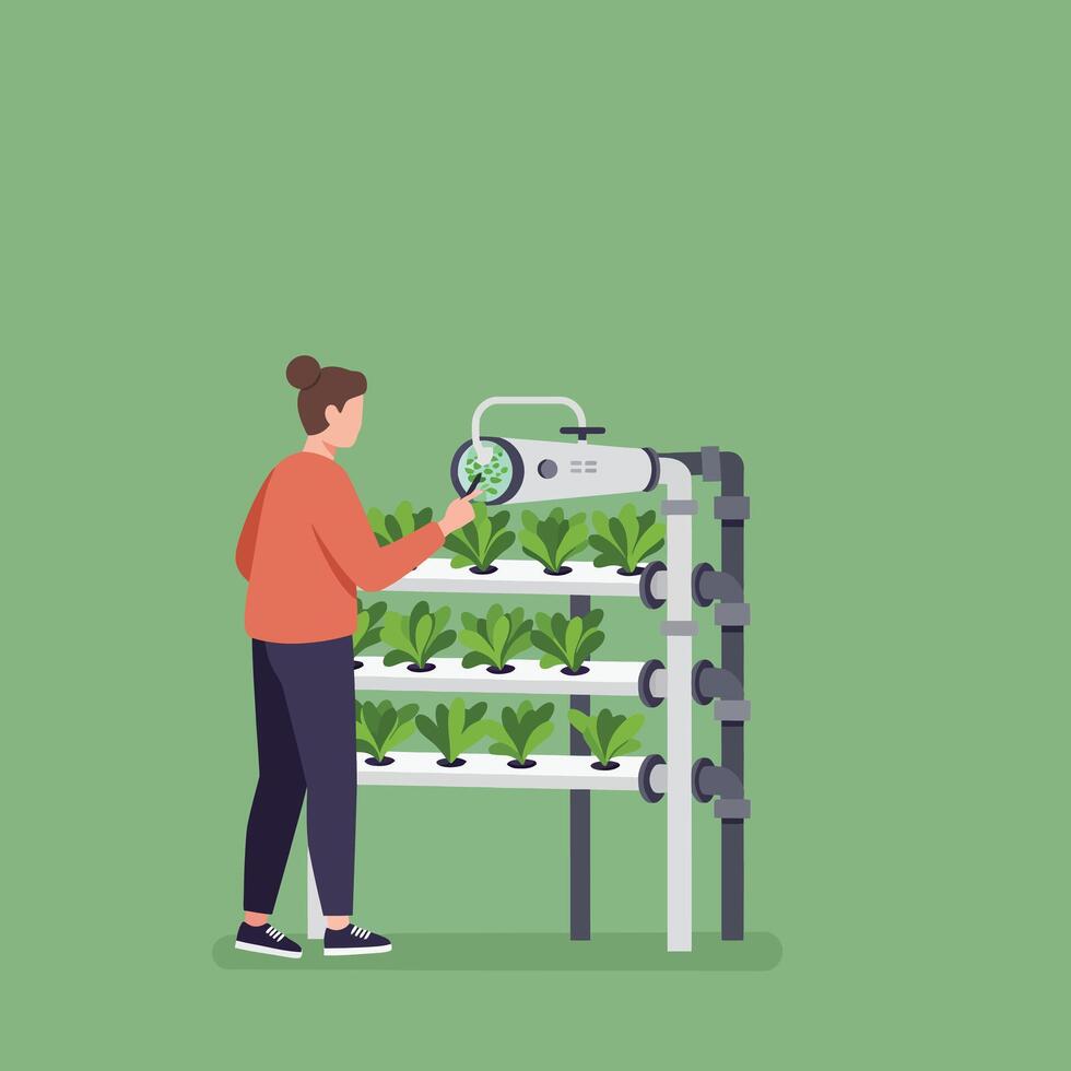 Woman inspecting vertical hydroponic garden with green plants indoor urban farming system illustration vector