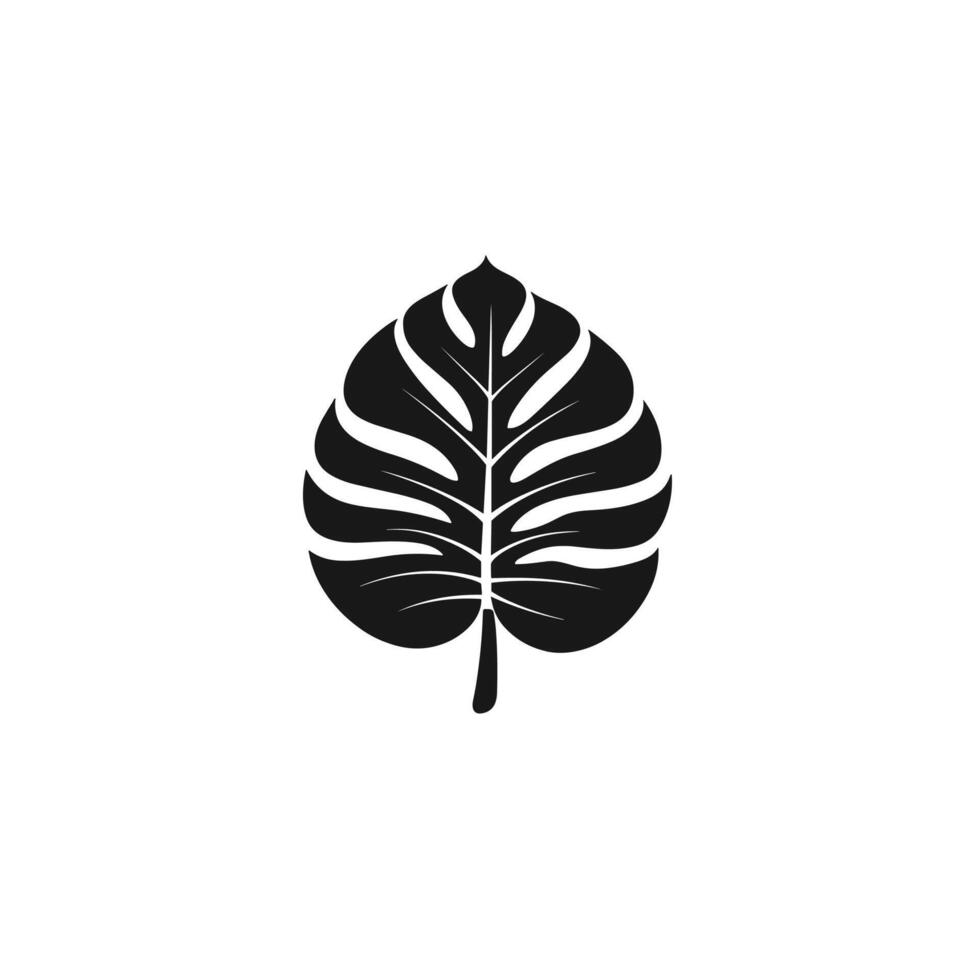 Minimalist Monstera Leaf logogo Graphic Template in HD Quality vector